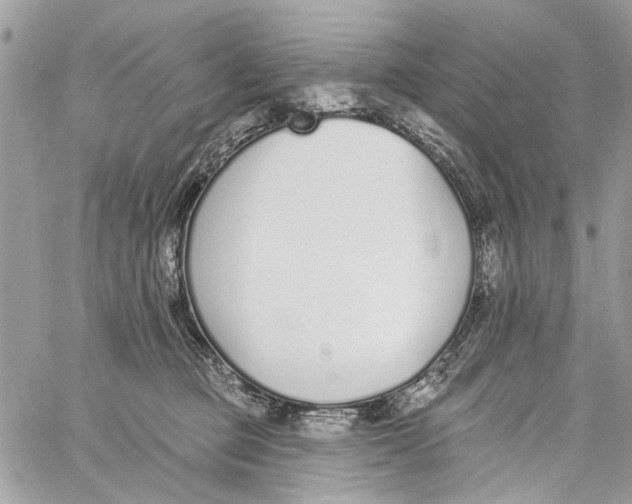 X0000060270373200511181425