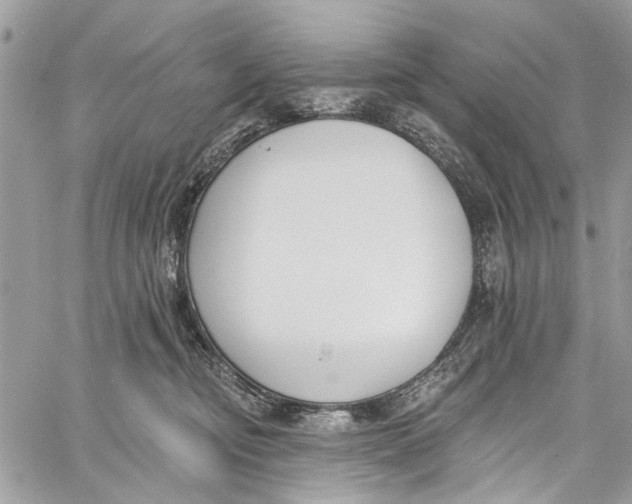 X0000060270374200511181425