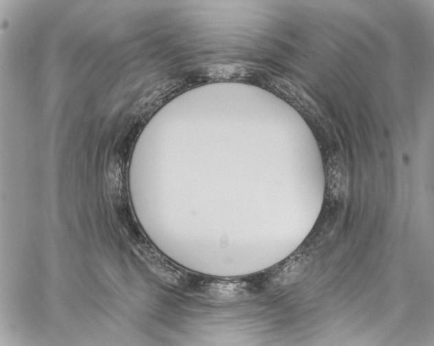 X0000060270375200511181425