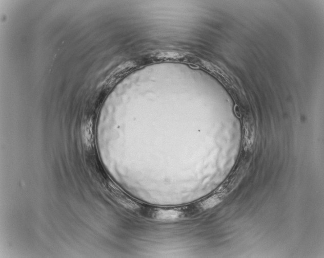 X0000060270376200511181425