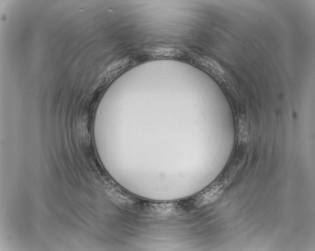 X0000060270377200511181425