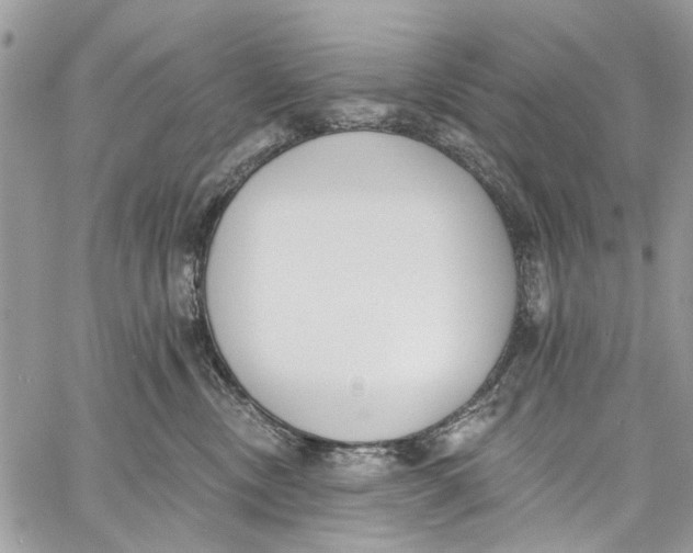 X0000060270378200511181425