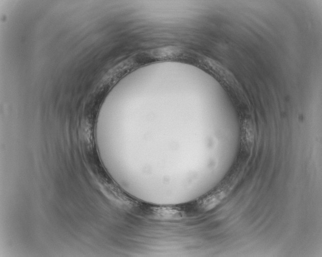 X0000060270380200511181426