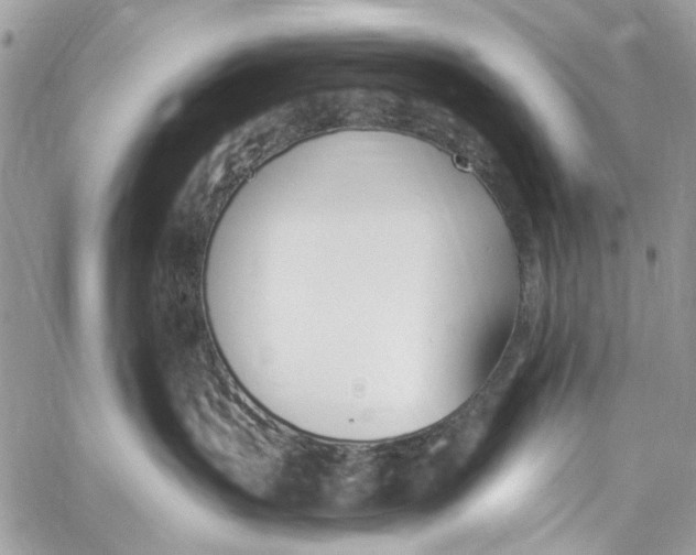 X0000060270383200511181426