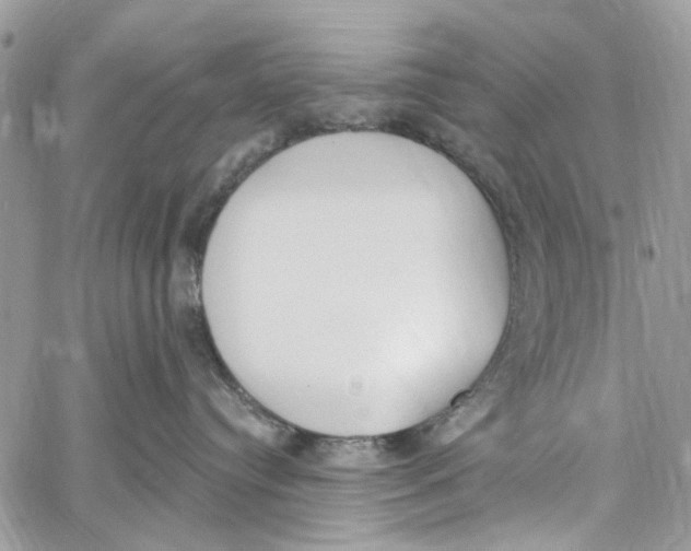 X0000060270384200511181426