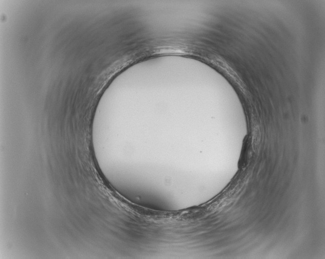 X0000060270385200511181425