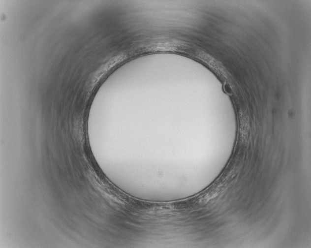 X0000060270386200511181425