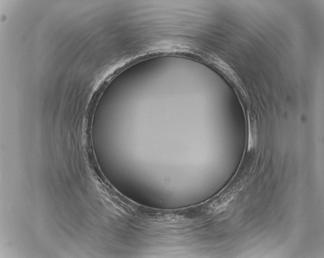 X0000060270387200511181425