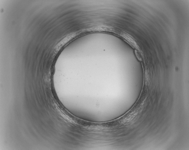 X0000060270389200511181425