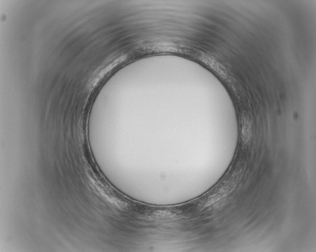 X0000060270390200511181425