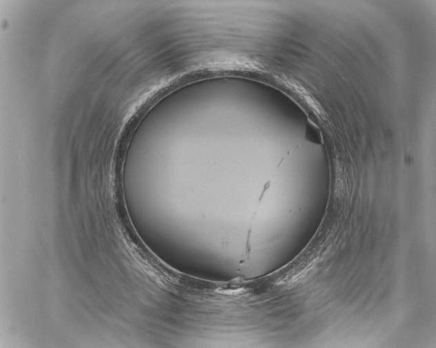 X0000060270391200511181425