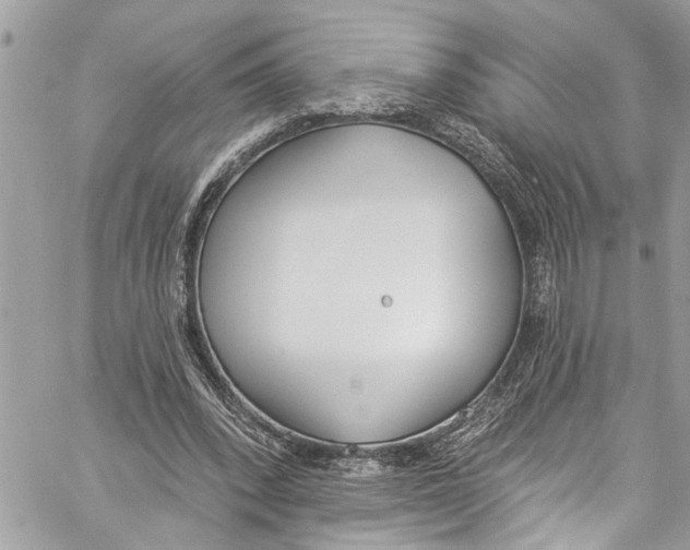 X0000060270392200511181425