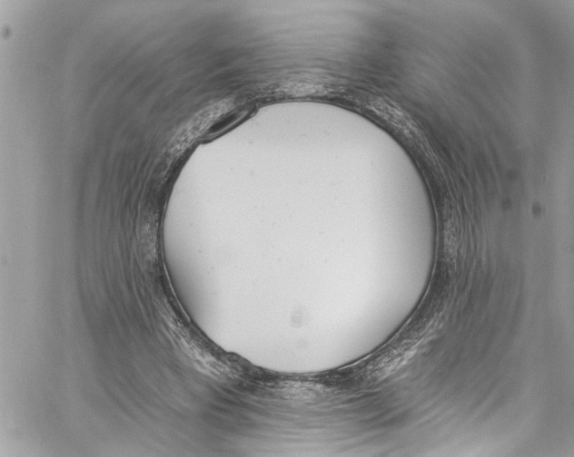 X0000060270393200511181425