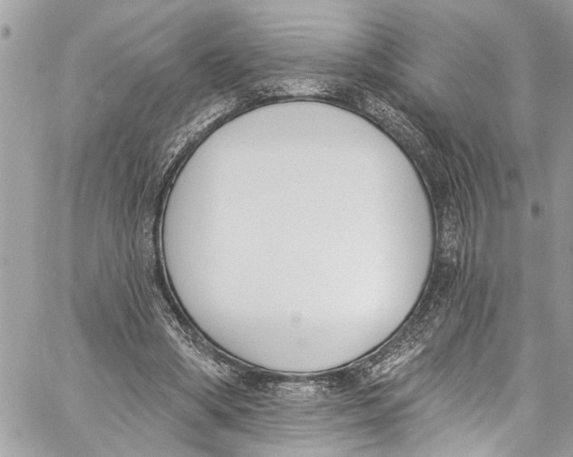 X0000060270394200511181425