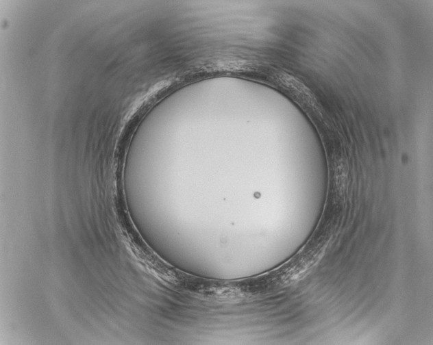 X0000060270395200511181425