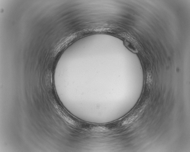 X0000060270397200511181425