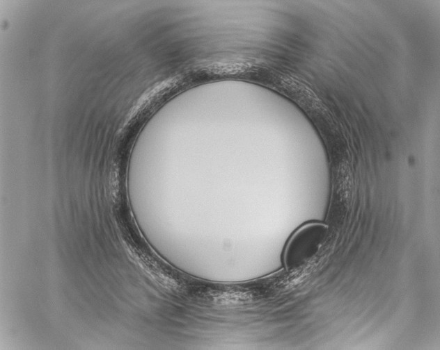 X0000060270400200511181425