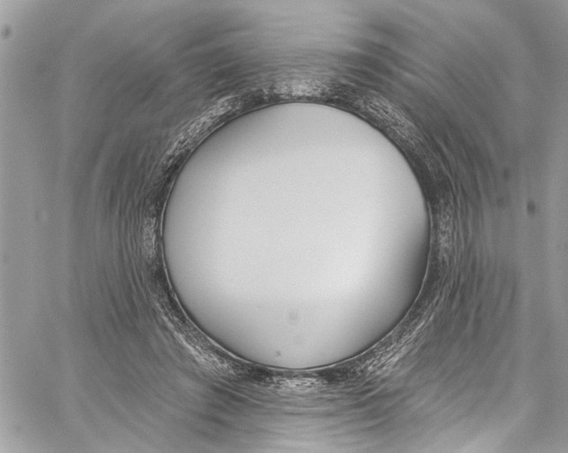 X0000060270401200511181425