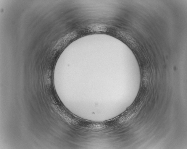 X0000060270402200511181425