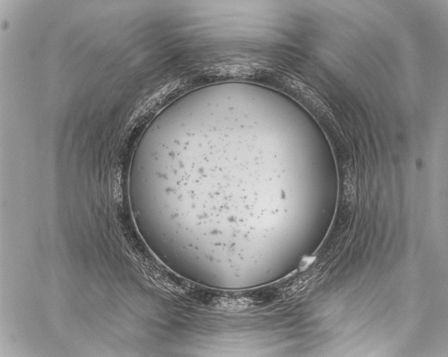 X0000060270403200511181424