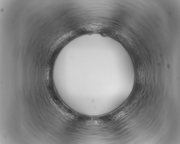 X0000060270404200511181424