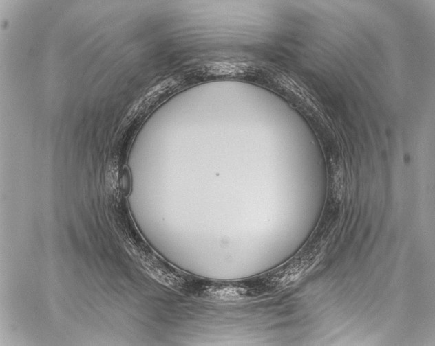 X0000060270407200511181424