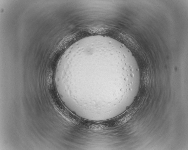 X0000060270408200511181424