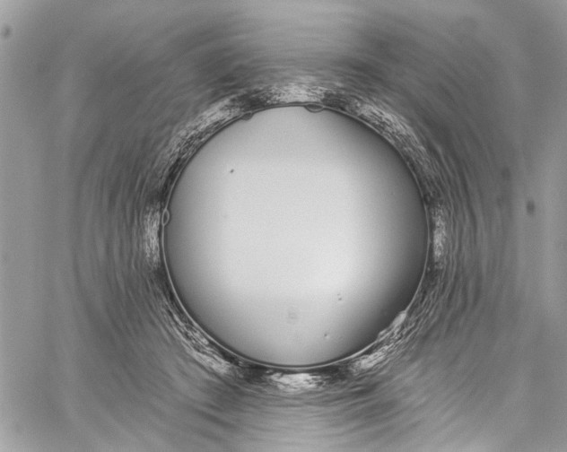 X0000060270409200511181424