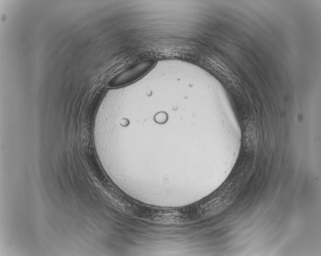 X0000060270410200511181424