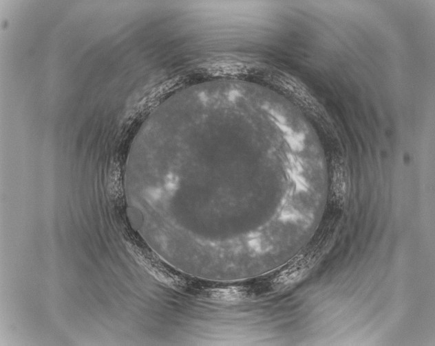 X0000060270411200511181424