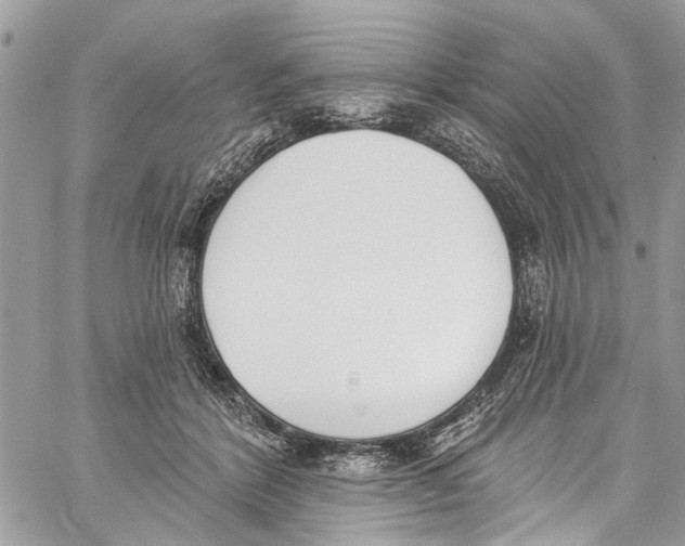 X0000060270412200511181424