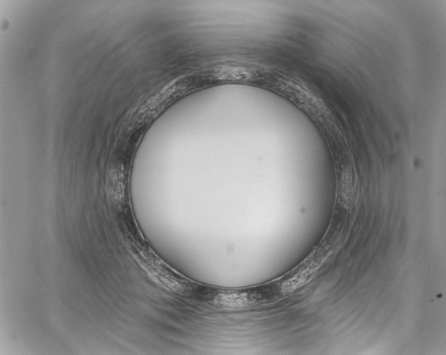 X0000060270413200511181424