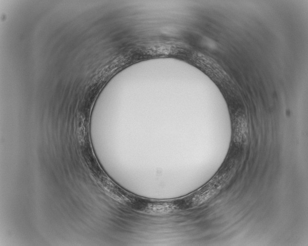 X0000060270414200511181424