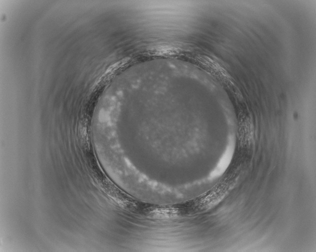 X0000060270415200511181424