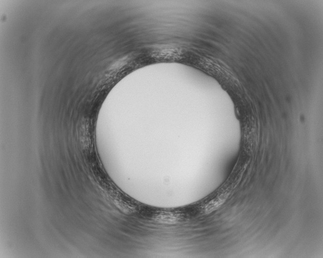 X0000060270416200511181424