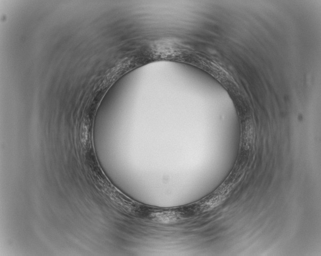 X0000060270417200511181424