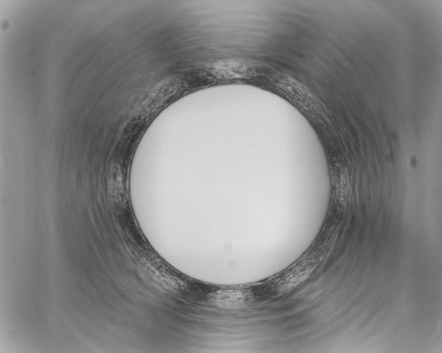 X0000060270418200511181424