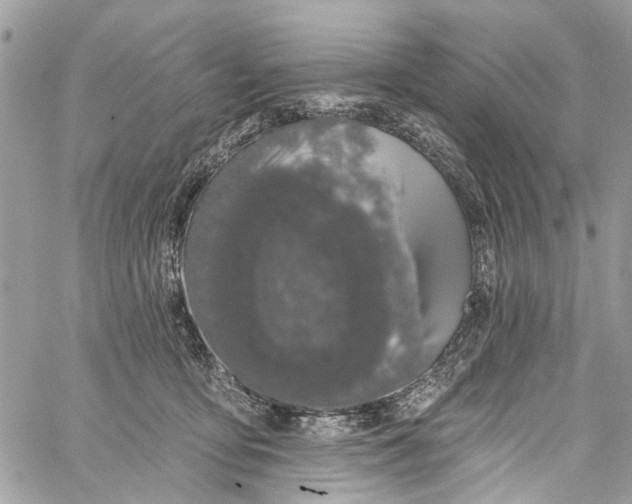 X0000060270419200511181424