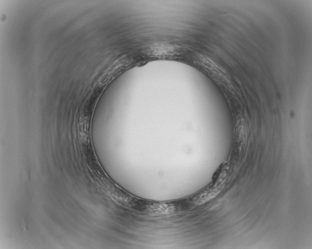 X0000060270421200511181424