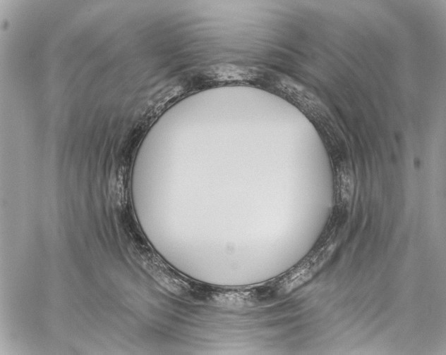 X0000060270422200511181424