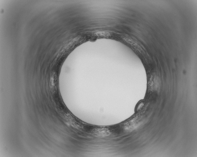 X0000060270424200511181424