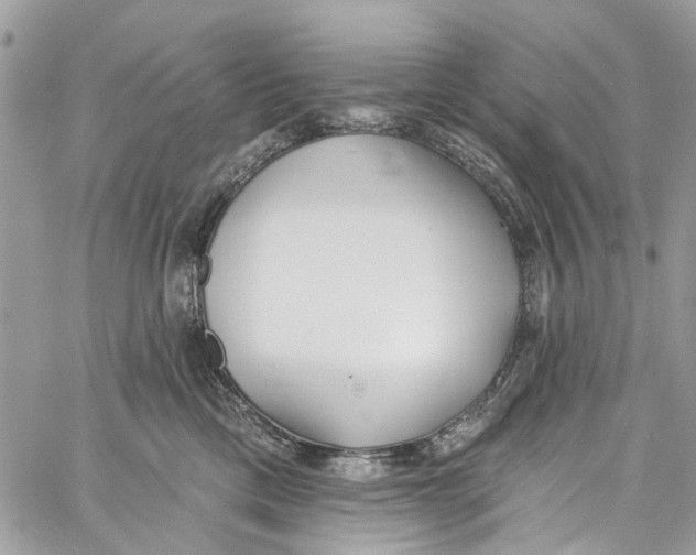 X0000060270425200511181424