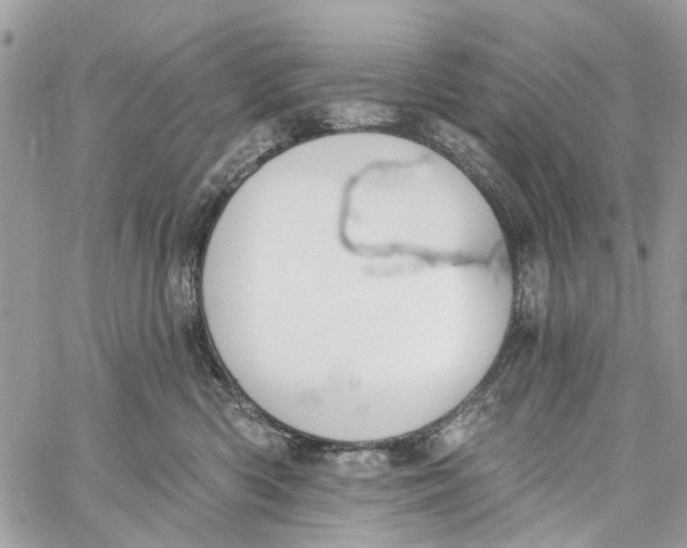 X0000060270426200511181424