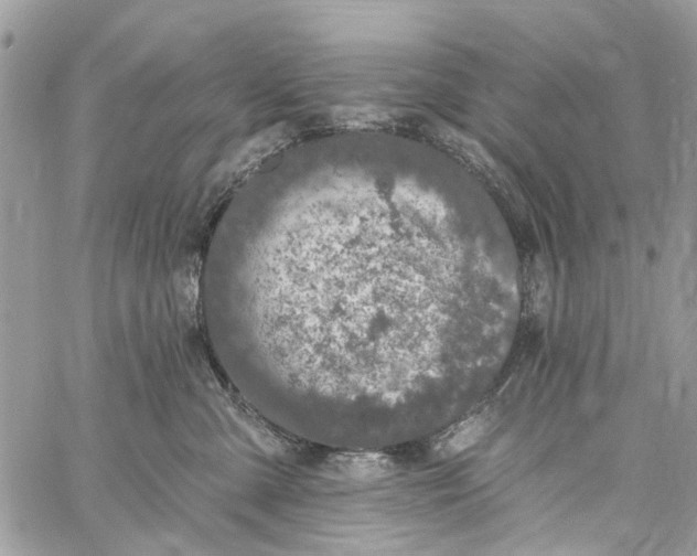 X0000060270427200511181424