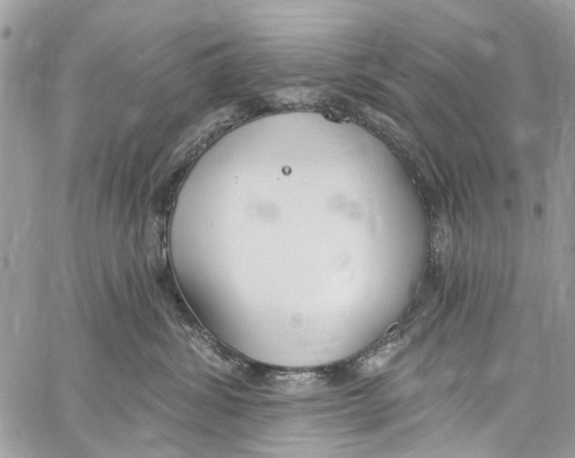 X0000060270428200511181424