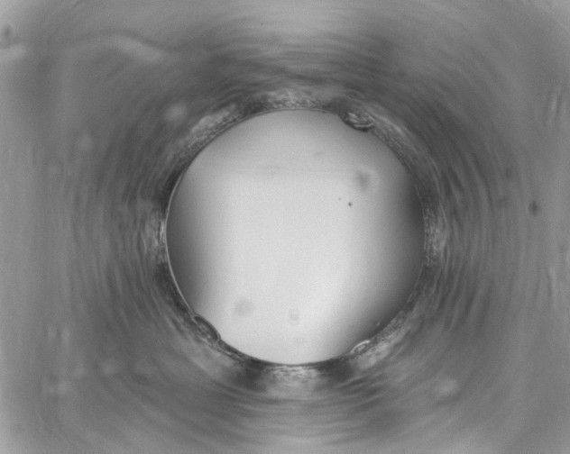 X0000060270429200511181424