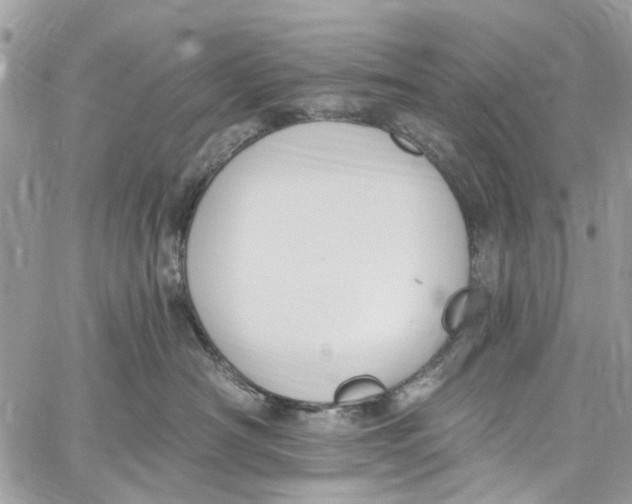 X0000060270430200511181424