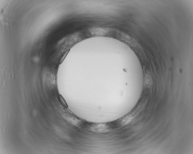 X0000060270431200511181424