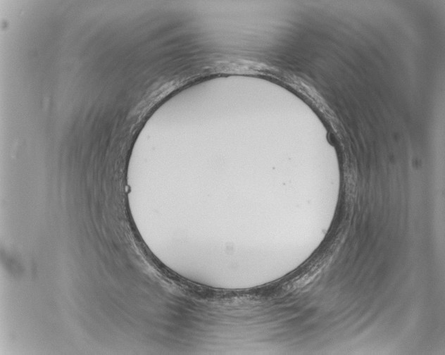 X0000060270433200511181423