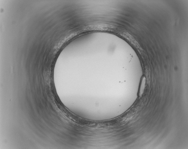 X0000060270434200511181423